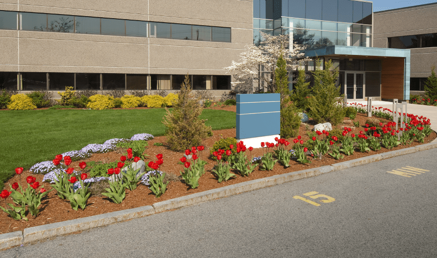 COMMERCIAL LANDSCAPING